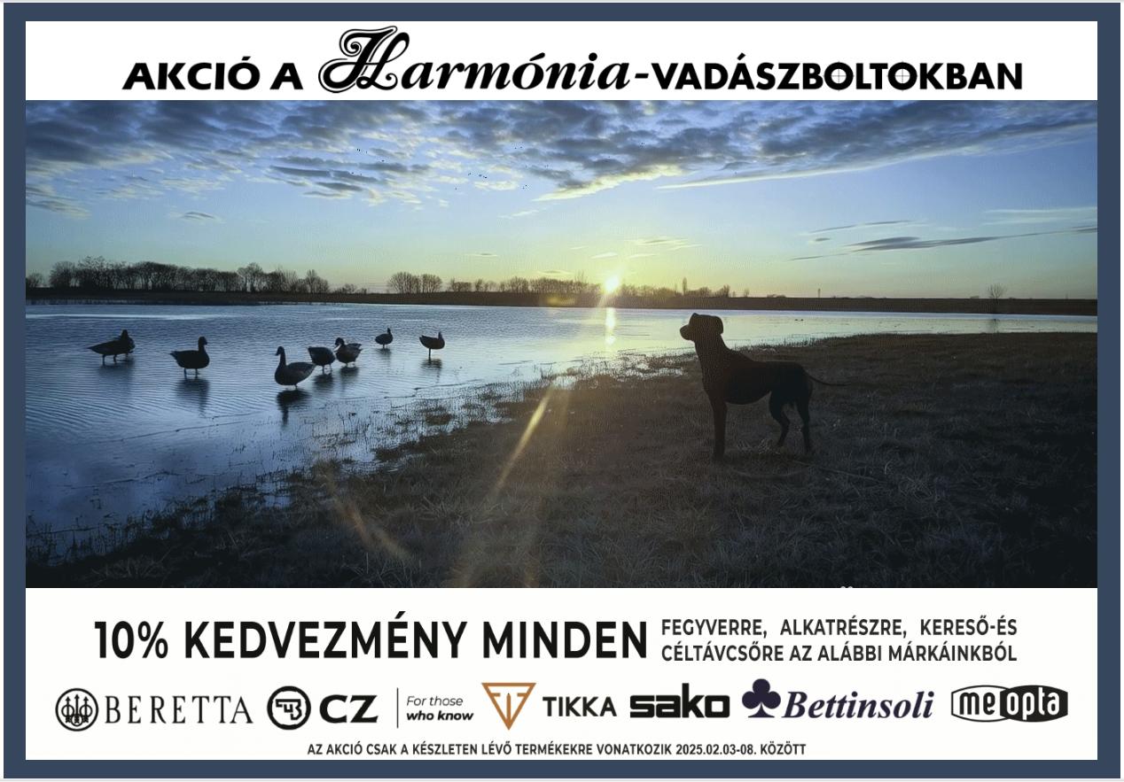 Bettinsoli Zephyr S 12/76 70cm MC