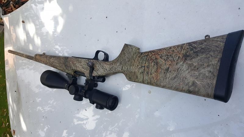 Remington Seven Gamo Predator 243win