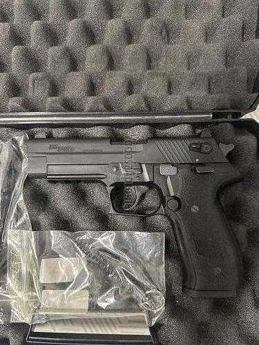 Sig Sauer Mosquito , Taurus 22 Lr